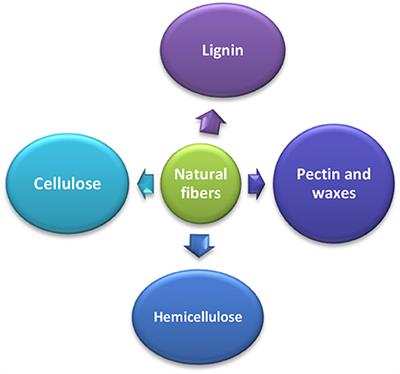 Natural Fibers as Sustainable and Renewable Resource for Development of Eco-Friendly Composites: A Comprehensive Review